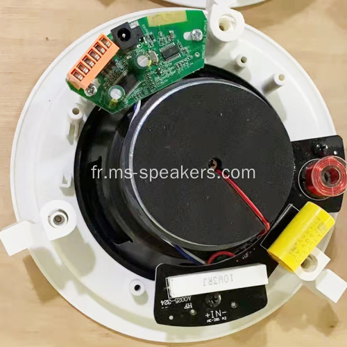 Haut-parleur de plafond actif HiFi Bluetooth pour le système PA
